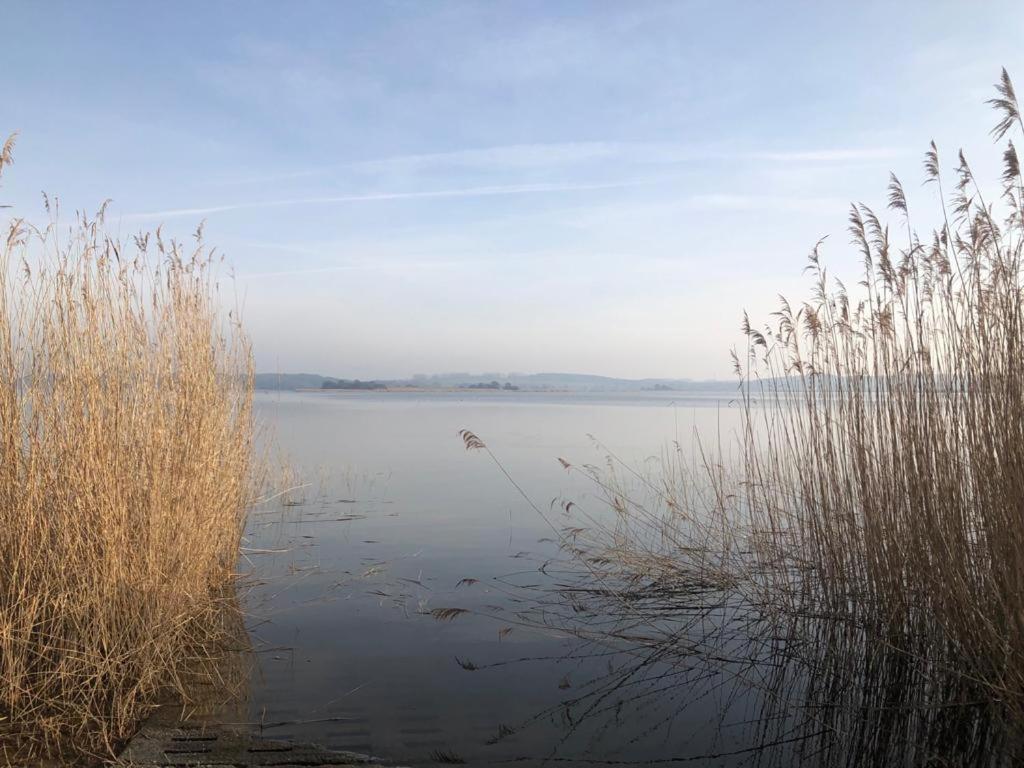 Ferienwohnung Seeblick - Insel Usedom Balm Esterno foto