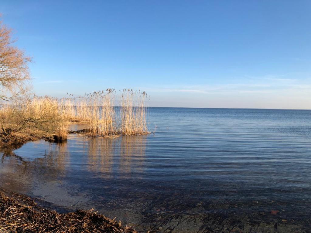 Ferienwohnung Seeblick - Insel Usedom Balm Esterno foto