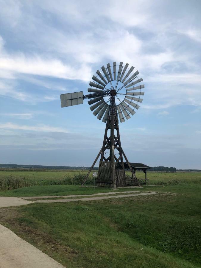 Ferienwohnung Seeblick - Insel Usedom Balm Esterno foto